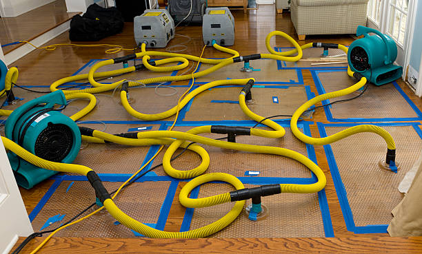 Professional Sewage Cleanup technician working in Dover, NH